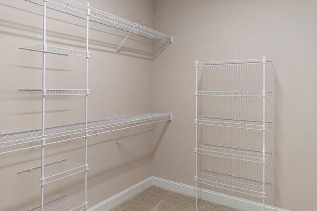 1167 Ewing Way, Clarksville, TN 37043 - photo 31