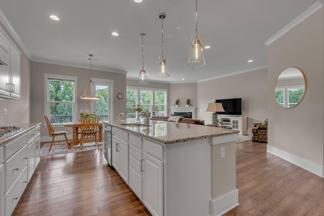 1074 Amelia Park Dr, Franklin, TN 37067 - kitchen with stainless steel dishwasher, a fireplace, ornamental molding, dark wood-style flooring, and white cabinetry