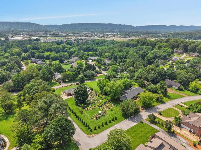 5423 Mill Stone Dr, Ooltewah, TN 37363 - photo 82