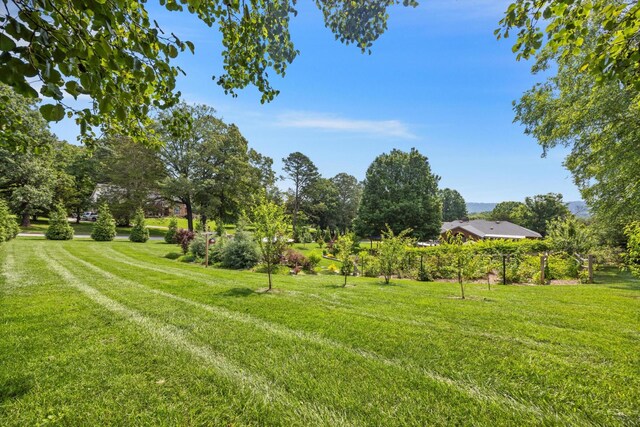 5423 Mill Stone Dr, Ooltewah, TN 37363 - photo 62