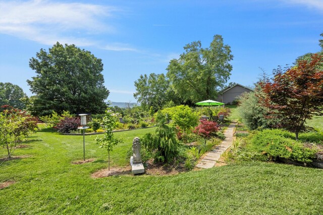 5423 Mill Stone Dr, Ooltewah, TN 37363 - photo 64