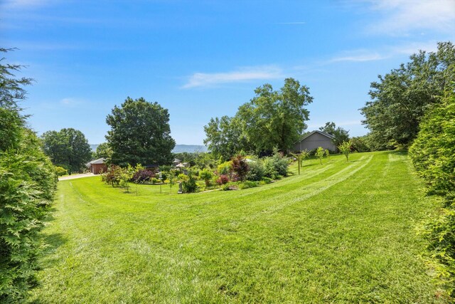 5423 Mill Stone Dr, Ooltewah, TN 37363 - photo 67