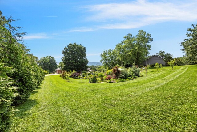 5423 Mill Stone Dr, Ooltewah, TN 37363 - photo 69