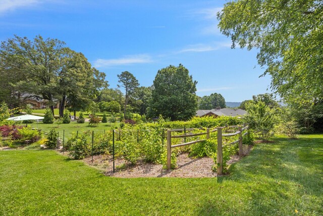 5423 Mill Stone Dr, Ooltewah, TN 37363 - photo 61