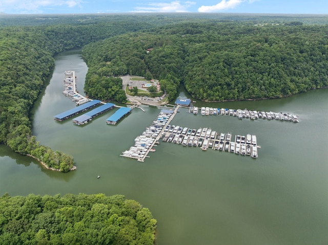 617 Still Point Rd, Smithville, TN 37166 - aerial view of a large body of water