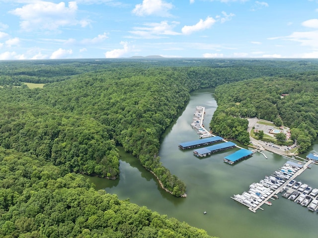 617 Still Point Rd, Smithville, TN 37166 - bird's eye view of a nearby body of water