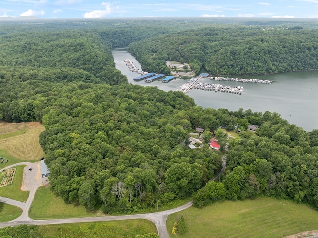617 Still Point Rd, Smithville, TN 37166 - drone / aerial view of a nearby body of water and numerous boat docks