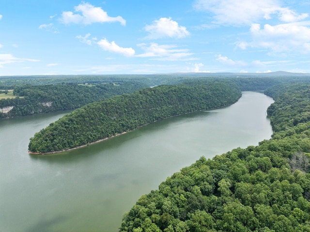 617 Still Point Rd, Smithville, TN 37166 - drone / aerial view of a nearby body of water
