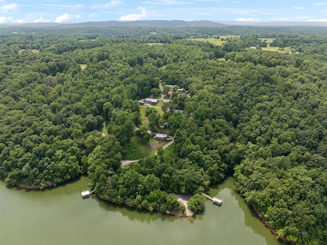 617 Still Point Rd, Smithville, TN 37166 - drone / aerial view of a nearby body of water and a heavily wooded area
