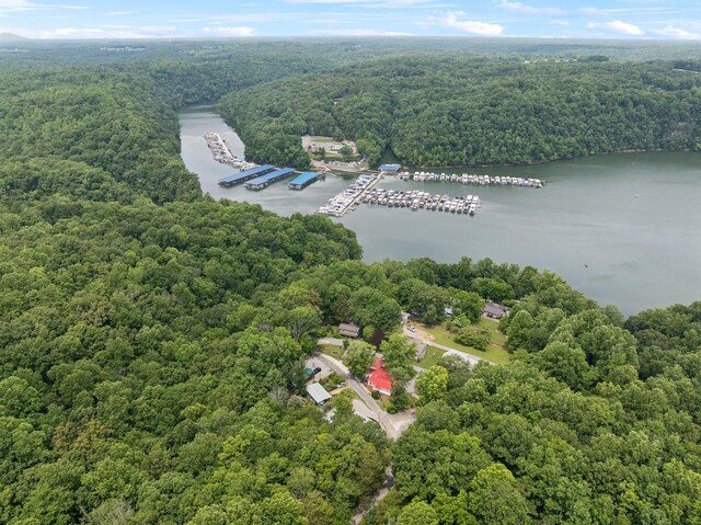 617 Still Point Rd, Smithville, TN 37166 - drone / aerial view of a heavily wooded area and a large body of water