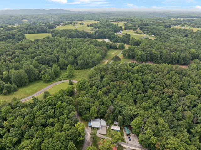 617 Still Point Rd, Smithville, TN 37166 - drone / aerial view of a forest