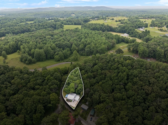 617 Still Point Rd, Smithville, TN 37166 - aerial overview of property's location with a forest and property boundaries highlighted