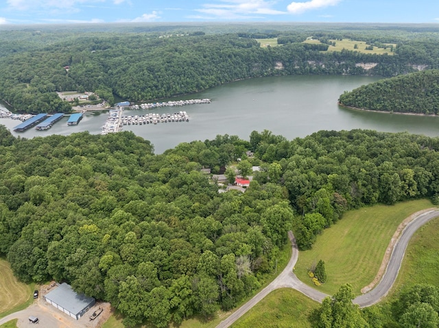 617 Still Point Rd, Smithville, TN 37166 - drone / aerial view of a heavily wooded area and a large body of water