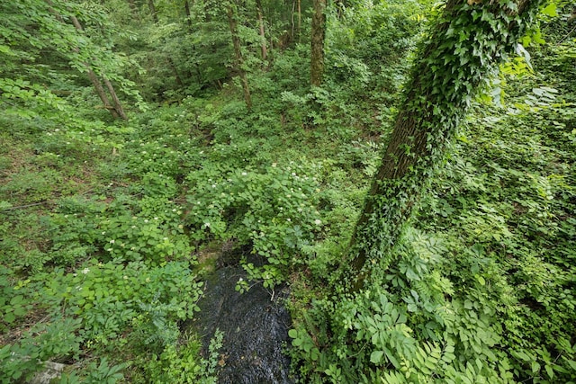 617 Still Point Rd, Smithville, TN 37166 - view of local wilderness