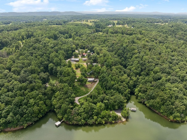 617 Still Point Rd, Smithville, TN 37166 - bird's eye view of a forest and a large body of water