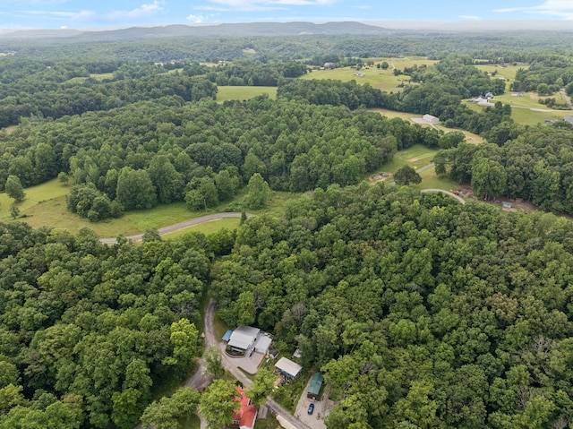 617 Still Point Rd, Smithville, TN 37166 - bird's eye view of a forest