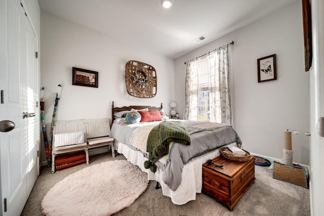 701 Dallas Dr, Columbia, TN 38401 - bedroom with carpet