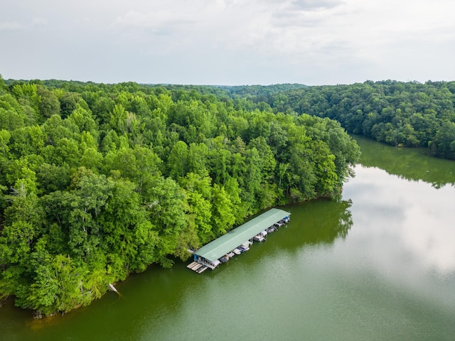 90 Grandview Lake Rd, Estill Springs, TN 37330 - drone / aerial view of a nearby body of water and a heavily wooded area