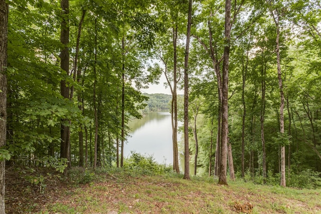90 Grandview Lake Rd, Estill Springs, TN 37330 - water view featuring a heavily wooded area
