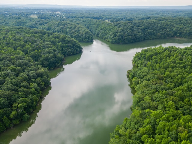 90 Grandview Lake Rd, Estill Springs, TN 37330 - drone / aerial view of a nearby body of water