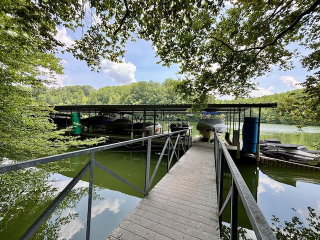 90 Grandview Lake Rd, Estill Springs, TN 37330 - photo 4