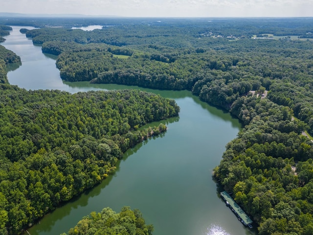 90 Grandview Lake Rd, Estill Springs, TN 37330 - photo 51