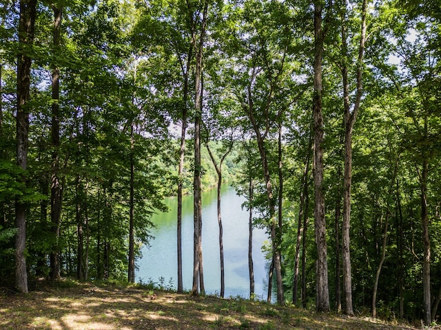 90 Grandview Lake Rd, Estill Springs, TN 37330 - photo 49