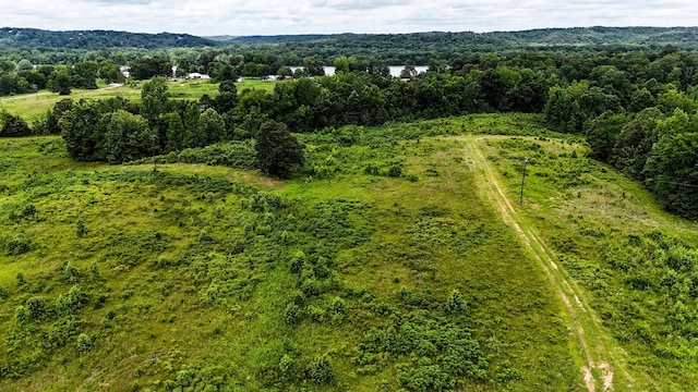 47 Overlook Point Rd, Lobelville, TN 37097