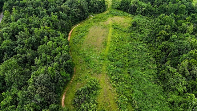 47 Overlook Point Rd, Lobelville, TN 37097