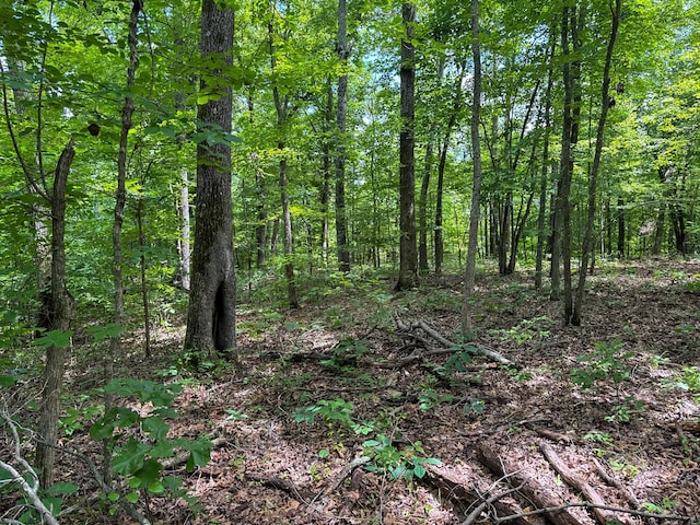 47 Overlook Point Rd, Lobelville, TN 37097