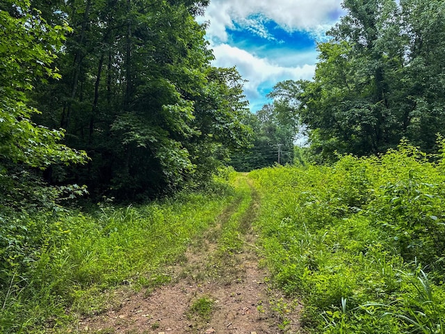 47 Overlook Point Rd, Lobelville, TN 37097