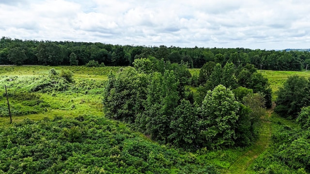 47 Overlook Point Rd, Lobelville, TN 37097