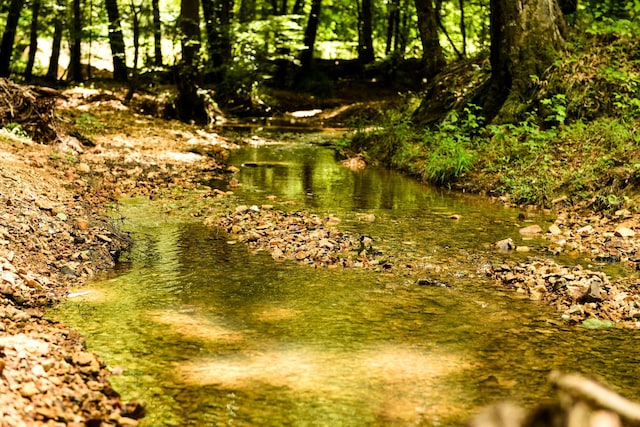 47 Overlook Point Rd, Lobelville, TN 37097