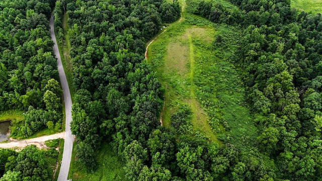47 Overlook Point Rd, Lobelville, TN 37097
