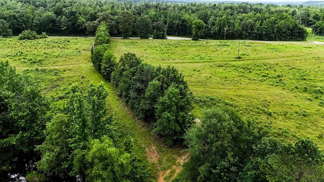 47 Overlook Point Rd, Lobelville, TN 37097