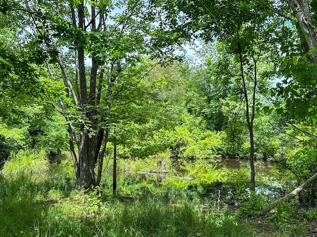 47 Overlook Point Rd, Lobelville, TN 37097