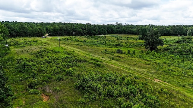 47 Overlook Point Rd, Lobelville, TN 37097