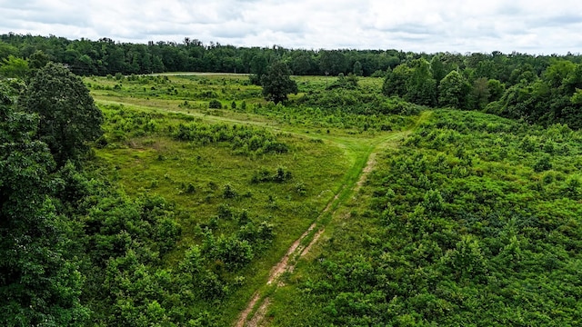 47 Overlook Point Rd, Lobelville, TN 37097