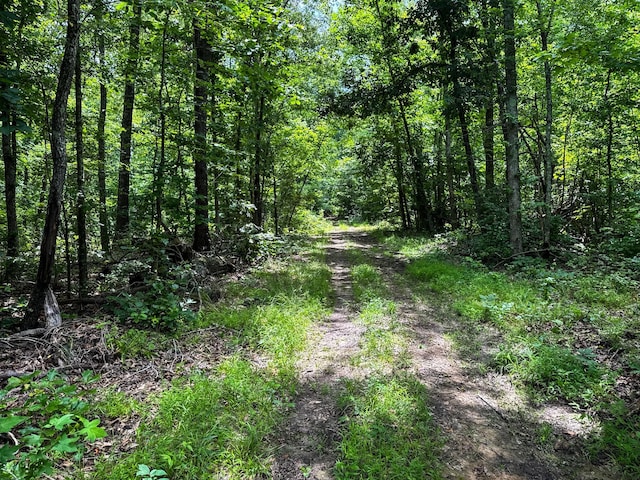 47 Overlook Point Rd, Lobelville, TN 37097