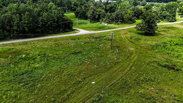 47 Overlook Point Rd, Lobelville, TN 37097