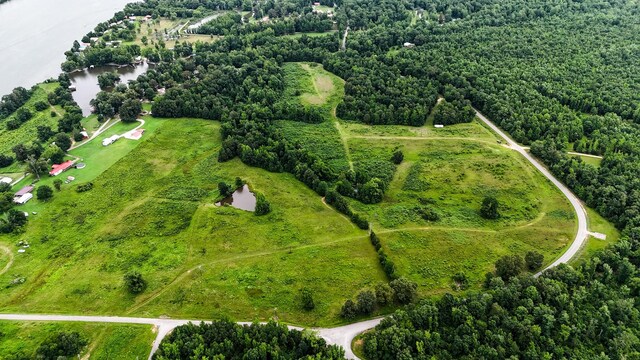 47 Overlook Point Rd, Lobelville, TN 37097