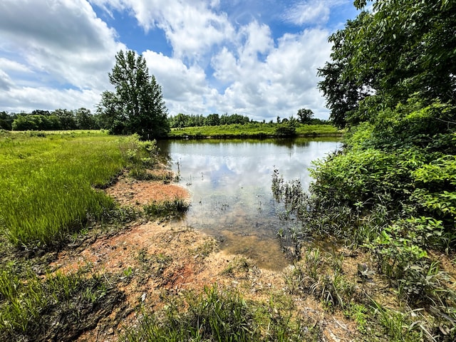 47 Overlook Point Rd, Lobelville, TN 37097