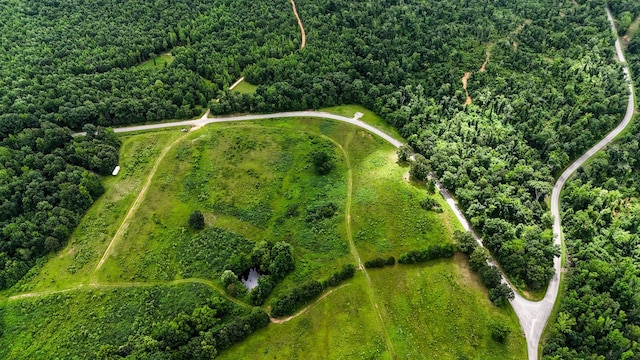 47 Overlook Point Rd, Lobelville, TN 37097