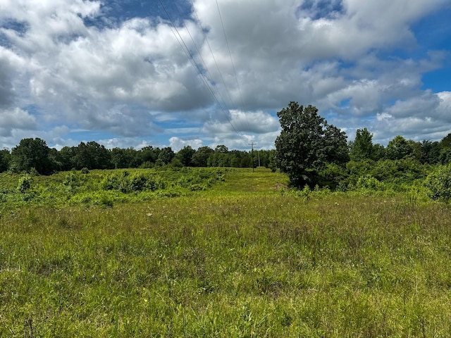 47 Overlook Point Rd, Lobelville, TN 37097