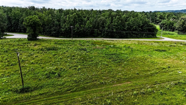 47 Overlook Point Rd, Lobelville, TN 37097