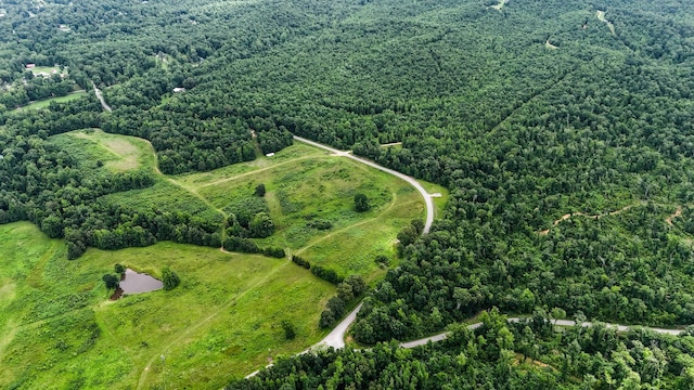 47 Overlook Point Rd, Lobelville, TN 37097