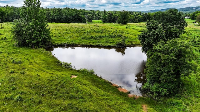 47 Overlook Point Rd, Lobelville, TN 37097