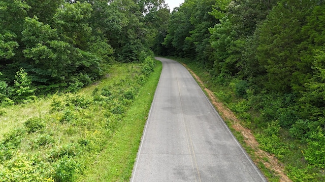47 Overlook Point Rd, Lobelville, TN 37097