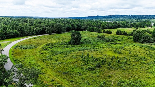 47 Overlook Point Rd, Lobelville, TN 37097
