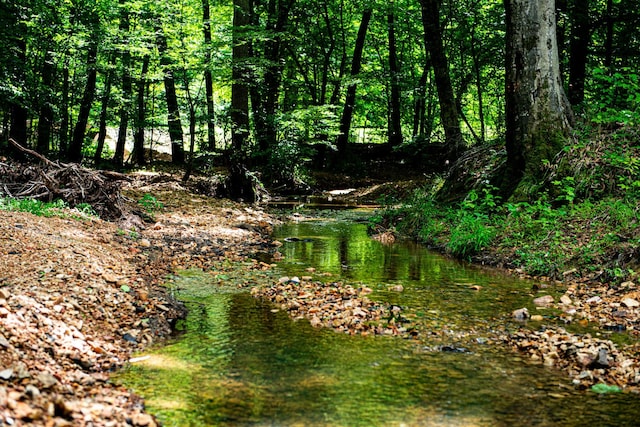 47 Overlook Point Rd, Lobelville, TN 37097
